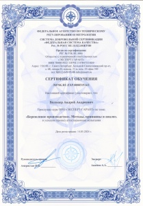 Сертификат обучения Бережливое производство Бальцер А.А.